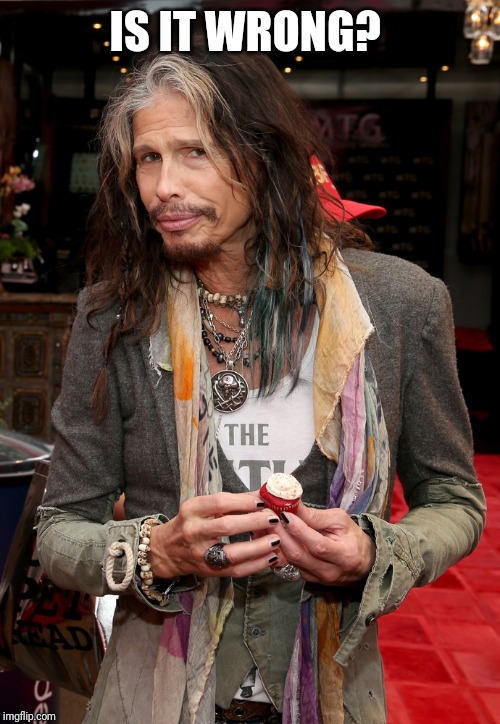 Steven Tyler | IS IT WRONG? | image tagged in steven tyler | made w/ Imgflip meme maker