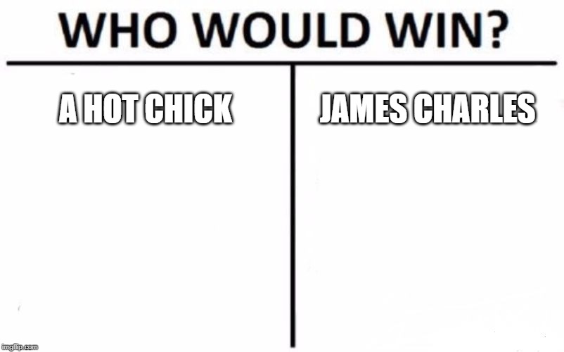 Who Would Win? Meme | A HOT CHICK; JAMES CHARLES | image tagged in memes,who would win | made w/ Imgflip meme maker