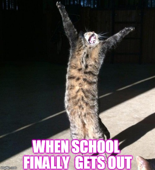 WHEN SCHOOL FINALLY  GETS OUT | image tagged in that's just silly cat | made w/ Imgflip meme maker