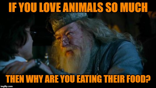 Angry Dumbledore Meme | IF YOU LOVE ANIMALS SO MUCH THEN WHY ARE YOU EATING THEIR FOOD? | image tagged in memes,angry dumbledore | made w/ Imgflip meme maker