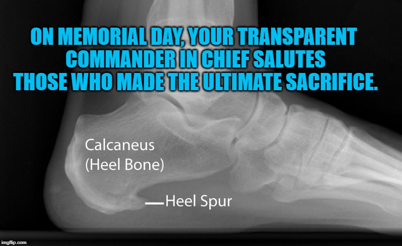 The Heel In Chief | ON MEMORIAL DAY, YOUR TRANSPARENT COMMANDER IN CHIEF SALUTES THOSE WHO MADE THE ULTIMATE SACRIFICE. | image tagged in politics | made w/ Imgflip meme maker