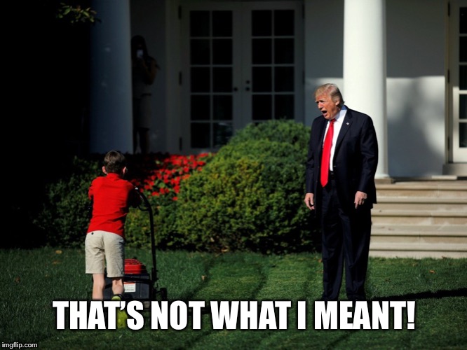 Mowing Trump’s Lawn | THAT’S NOT WHAT I MEANT! | image tagged in mowing trumps lawn | made w/ Imgflip meme maker