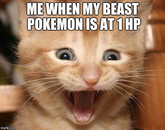 pokemon | ME WHEN MY BEAST POKEMON IS AT 1 HP | image tagged in memes,excited cat | made w/ Imgflip meme maker