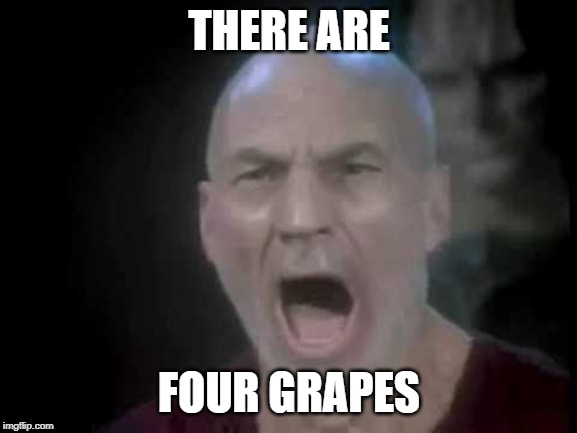 Picard Four Lights | THERE ARE; FOUR GRAPES | image tagged in picard four lights | made w/ Imgflip meme maker