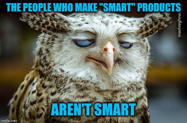 Unwise Owl | THE PEOPLE WHO MAKE "SMART" PRODUCTS AREN'T SMART | image tagged in unwise owl | made w/ Imgflip meme maker