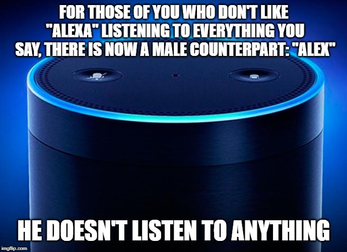 Responds with typical man answers like, "sure", "yup", "unhuh" | FOR THOSE OF YOU WHO DON'T LIKE "ALEXA" LISTENING TO EVERYTHING YOU SAY, THERE IS NOW A MALE COUNTERPART: "ALEX"; HE DOESN'T LISTEN TO ANYTHING | image tagged in alexa,funny,funny memes | made w/ Imgflip meme maker