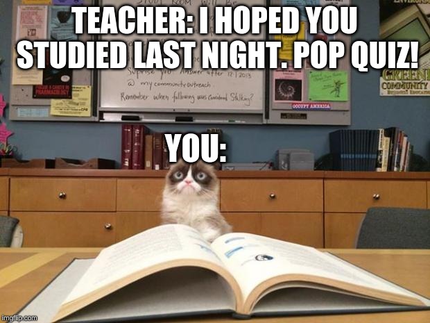 Grumpy cat studying | TEACHER: I HOPED YOU STUDIED LAST NIGHT. POP QUIZ! YOU: | image tagged in grumpy cat studying | made w/ Imgflip meme maker