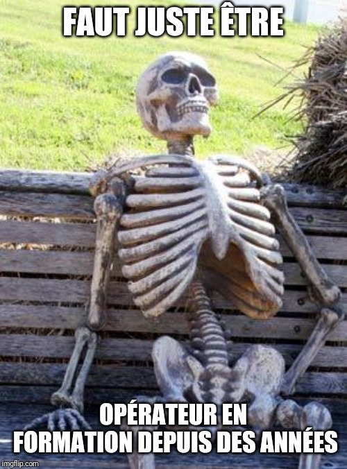 Waiting Skeleton Meme | FAUT JUSTE ÊTRE; OPÉRATEUR EN FORMATION DEPUIS DES ANNÉES | image tagged in memes,waiting skeleton | made w/ Imgflip meme maker