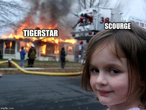 Disaster Girl Meme | SCOURGE; TIGERSTAR | image tagged in memes,disaster girl,cats | made w/ Imgflip meme maker