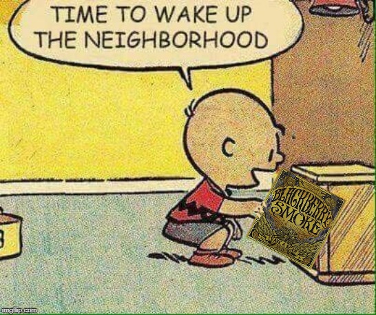image tagged in charlie brown | made w/ Imgflip meme maker