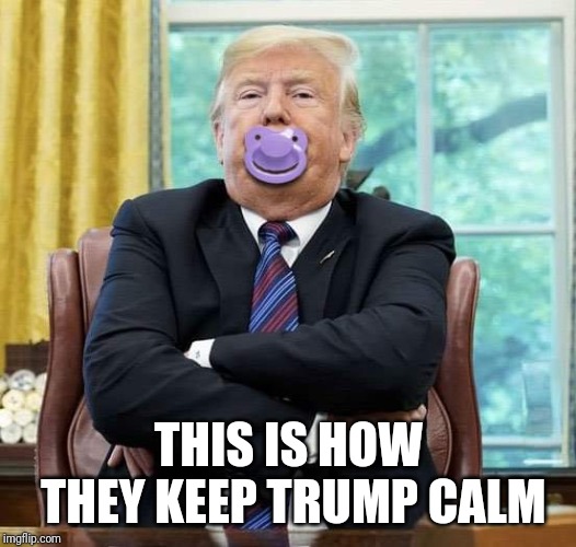 Memes | THIS IS HOW THEY KEEP TRUMP CALM | image tagged in creepy condescending wonka,be like bill | made w/ Imgflip meme maker