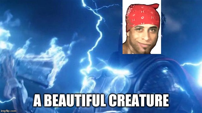 Ricardo is TOO POWERFUL! | A BEAUTIFUL CREATURE | image tagged in ricardo | made w/ Imgflip meme maker