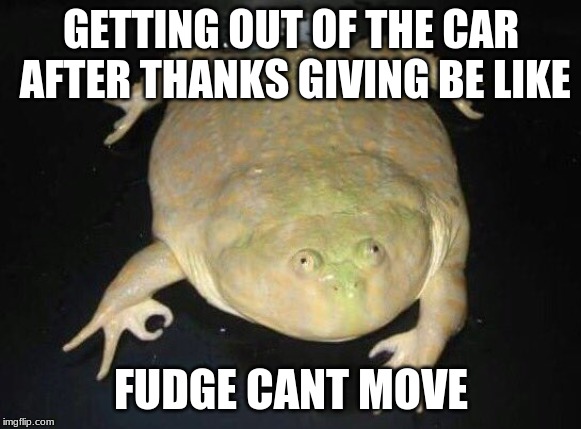 oof meme | GETTING OUT OF THE CAR AFTER THANKS GIVING BE LIKE; FUDGE CANT MOVE | image tagged in oof meme | made w/ Imgflip meme maker