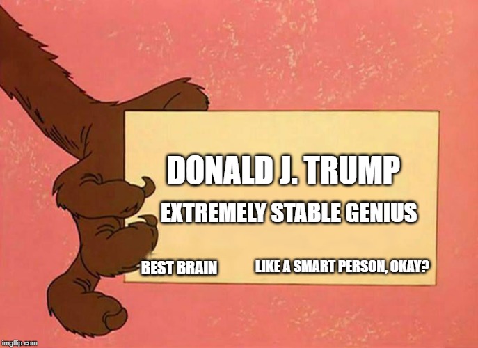 Nothing says genius like having to tell people | DONALD J. TRUMP; EXTREMELY STABLE GENIUS; LIKE A SMART PERSON, OKAY? BEST BRAIN | image tagged in donald trump,stupid,stupid conservatives,trump stable genius | made w/ Imgflip meme maker