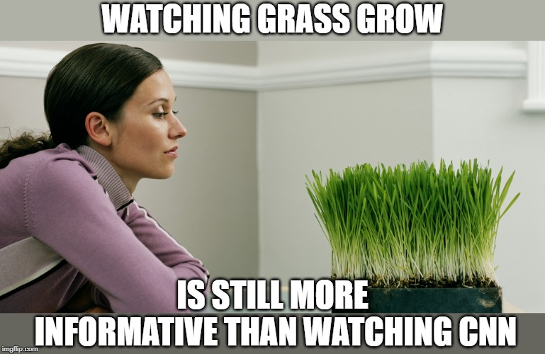 If it wasn't for CNN being shown in the airports, they would have no viewers. |  WATCHING GRASS GROW; IS STILL MORE INFORMATIVE THAN WATCHING CNN | image tagged in watching grass grow,cnn | made w/ Imgflip meme maker