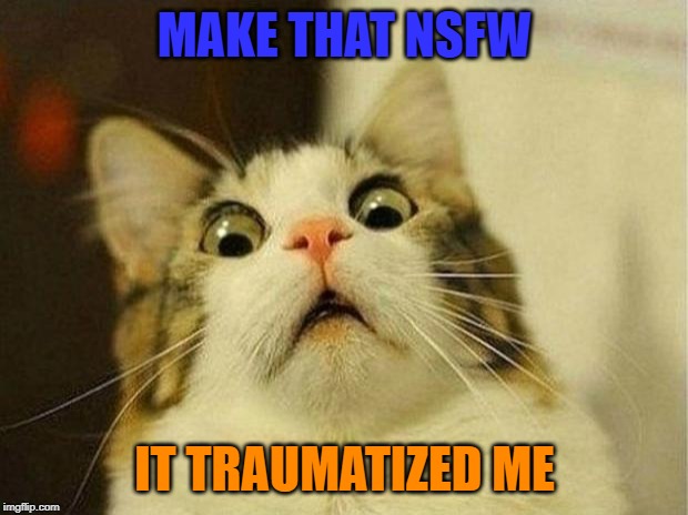 Scared Cat Meme | MAKE THAT NSFW IT TRAUMATIZED ME | image tagged in memes,scared cat | made w/ Imgflip meme maker