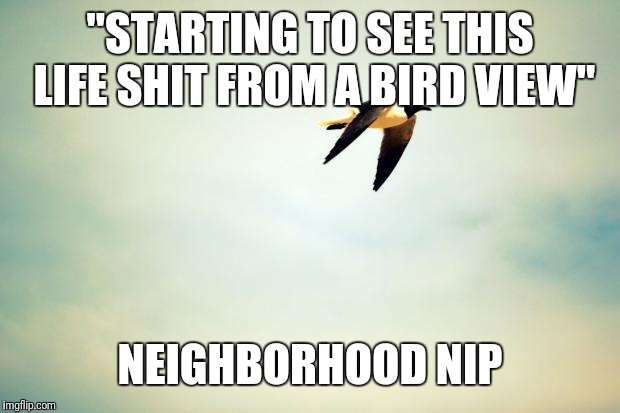 Birds | "STARTING TO SEE THIS LIFE SHIT FROM A BIRD VIEW"; NEIGHBORHOOD NIP | image tagged in birds | made w/ Imgflip meme maker