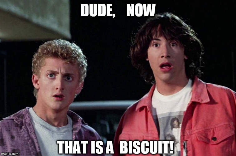 DUDE,    NOW THAT IS A  BISCUIT! | made w/ Imgflip meme maker