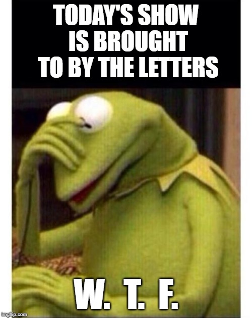 Facepalm frog |  TODAY'S SHOW IS BROUGHT TO BY THE LETTERS; W.  T.  F. | image tagged in facepalm frog | made w/ Imgflip meme maker