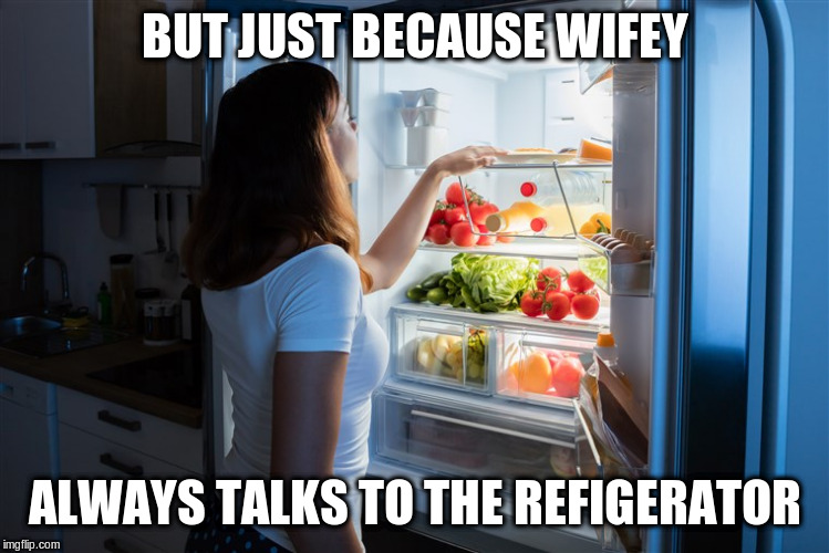 BUT JUST BECAUSE WIFEY ALWAYS TALKS TO THE REFIGERATOR | made w/ Imgflip meme maker