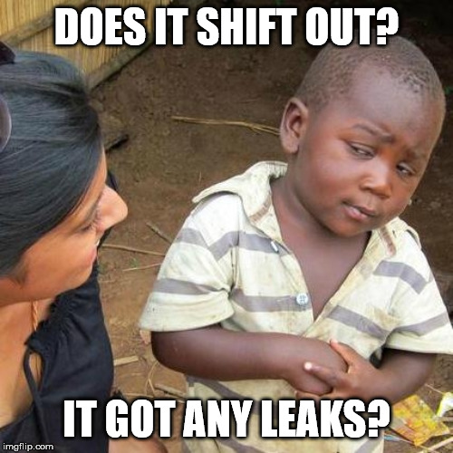 Mechanic Life | DOES IT SHIFT OUT? IT GOT ANY LEAKS? | image tagged in memes,third world skeptical kid,automotive,mechanic,funny memes,work life | made w/ Imgflip meme maker