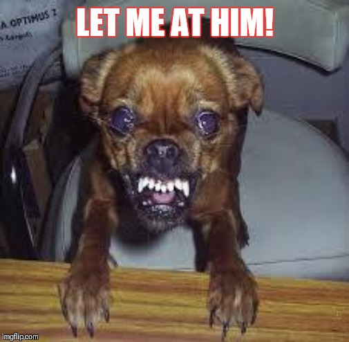 mad dog! | LET ME AT HIM! | image tagged in mad dog | made w/ Imgflip meme maker