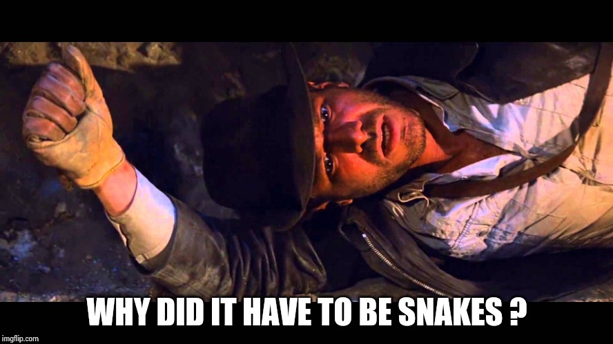 why did it have to be | WHY DID IT HAVE TO BE SNAKES ? | image tagged in why did it have to be | made w/ Imgflip meme maker