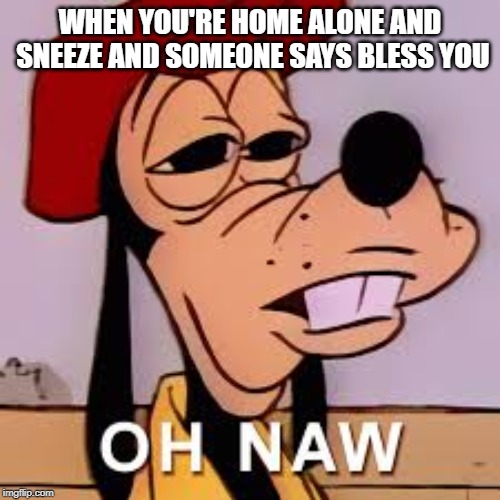 Rip Goofy | WHEN YOU'RE HOME ALONE AND SNEEZE AND SOMEONE SAYS BLESS YOU | image tagged in goofy,lol,oh naw,rip,haunted house,funny | made w/ Imgflip meme maker