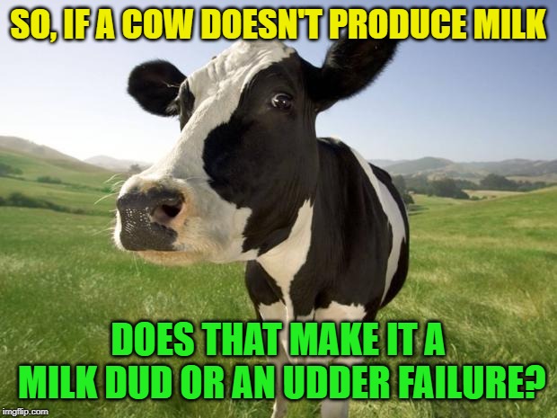 Eat more mac and cheese? | SO, IF A COW DOESN'T PRODUCE MILK; DOES THAT MAKE IT A MILK DUD OR AN UDDER FAILURE? | image tagged in cow,milk,failure | made w/ Imgflip meme maker