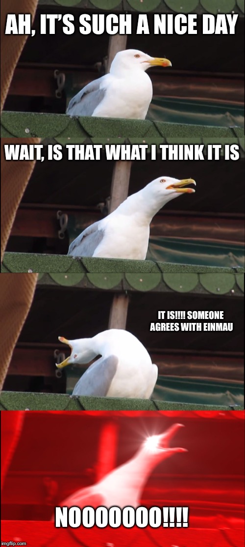 Inhaling Seagull | AH, IT’S SUCH A NICE DAY; WAIT, IS THAT WHAT I THINK IT IS; IT IS!!!! SOMEONE AGREES WITH EINMAU; NOOOOOOO!!!! | image tagged in memes,inhaling seagull | made w/ Imgflip meme maker