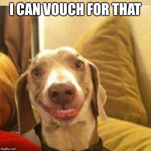 big smile doggie | I CAN VOUCH FOR THAT | image tagged in big smile doggie | made w/ Imgflip meme maker