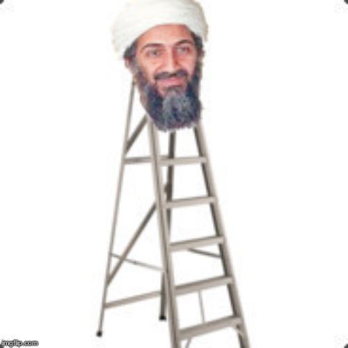 a ladden | image tagged in memes | made w/ Imgflip meme maker