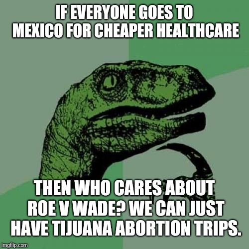 Philosoraptor | IF EVERYONE GOES TO MEXICO FOR CHEAPER HEALTHCARE; THEN WHO CARES ABOUT ROE V WADE? WE CAN JUST HAVE TIJUANA ABORTION TRIPS. | image tagged in memes,philosoraptor | made w/ Imgflip meme maker