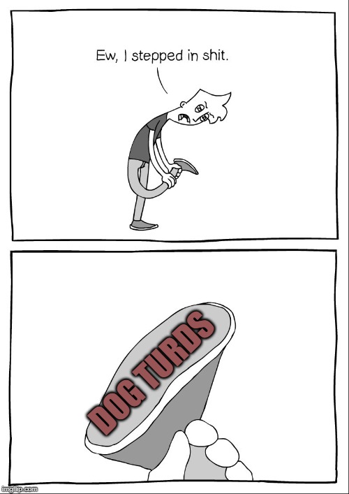 Ew, i stepped in shit | DOG TURDS | image tagged in ew i stepped in shit | made w/ Imgflip meme maker