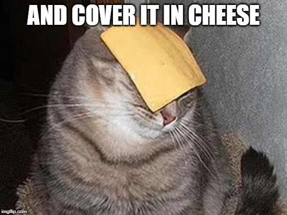Cats with cheese | AND COVER IT IN CHEESE | image tagged in cats with cheese | made w/ Imgflip meme maker