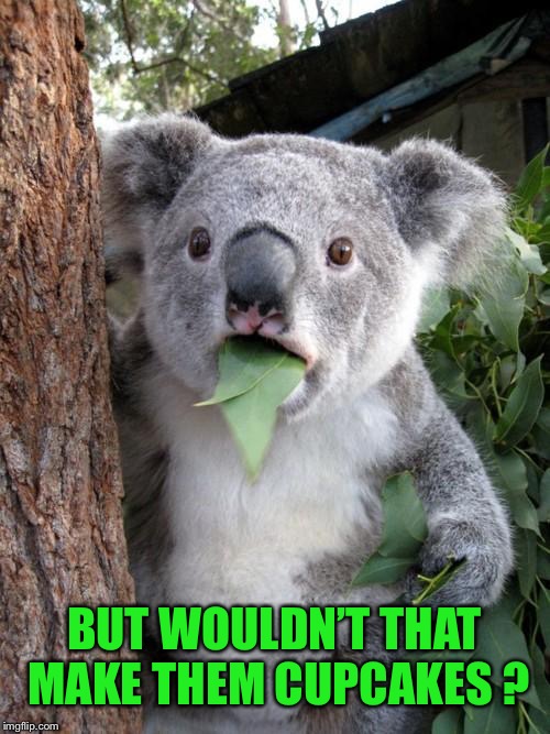 Surprised Koala Meme | BUT WOULDN’T THAT MAKE THEM CUPCAKES ? | image tagged in memes,surprised koala | made w/ Imgflip meme maker