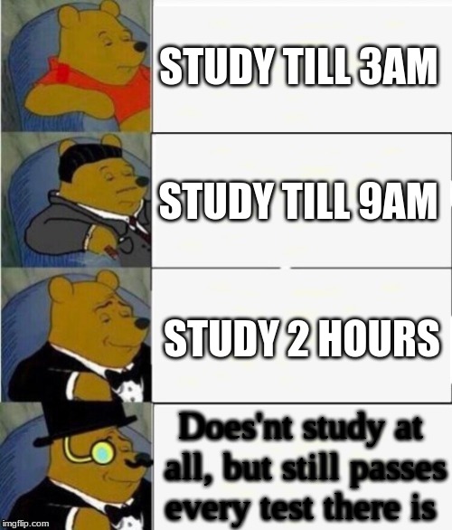 Types of Sudys | STUDY TILL 3AM; STUDY TILL 9AM; STUDY 2 HOURS; Does'nt study at all, but still passes every test there is | image tagged in tuxedo winnie the pooh 4 panel,funny,school,studying | made w/ Imgflip meme maker