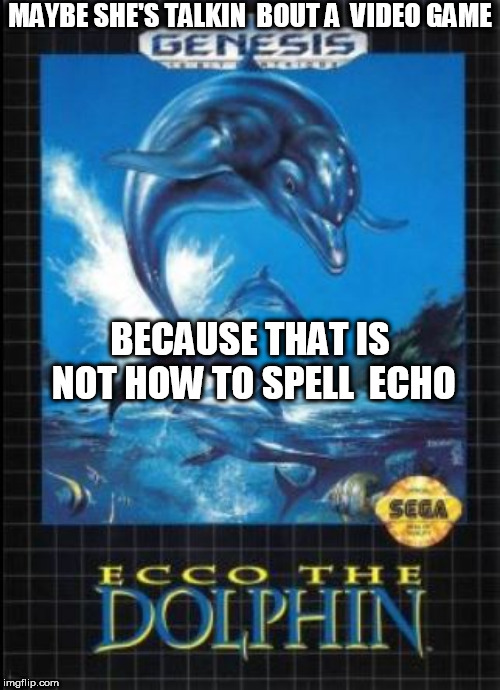 BEST  Game of  the  90's! | MAYBE SHE'S TALKIN  BOUT A  VIDEO GAME; BECAUSE THAT IS NOT HOW TO SPELL  ECHO | image tagged in ecco,dolphin,game | made w/ Imgflip meme maker