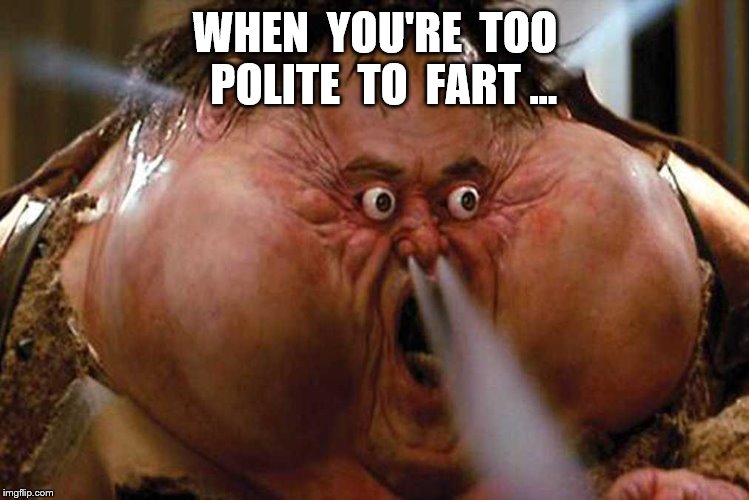 Too  polite | WHEN  YOU'RE  TOO  POLITE  TO  FART ... | image tagged in too polite to fart,brain  fart,gases | made w/ Imgflip meme maker