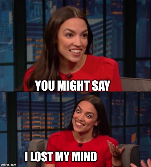 Bad Pun AOC | YOU MIGHT SAY I LOST MY MIND | image tagged in bad pun aoc | made w/ Imgflip meme maker