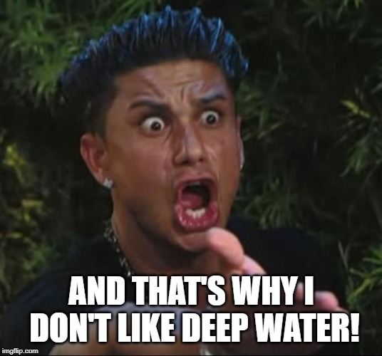 DJ Pauly D Meme | AND THAT'S WHY I DON'T LIKE DEEP WATER! | image tagged in memes,dj pauly d | made w/ Imgflip meme maker