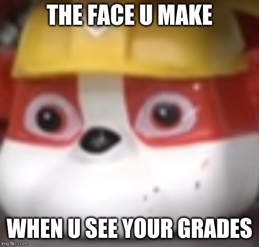 Pug of Bad grades | THE FACE U MAKE; WHEN U SEE YOUR GRADES | image tagged in hahaha | made w/ Imgflip meme maker