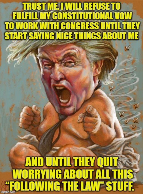 White house tantrum | TRUST ME, I WILL REFUSE TO FULFILL MY CONSTITUTIONAL VOW TO WORK WITH CONGRESS UNTIL THEY START SAYING NICE THINGS ABOUT ME; AND UNTIL THEY QUIT WORRYING ABOUT ALL THIS “FOLLOWING THE LAW” STUFF. | image tagged in donald trump approves,trump is a moron,donald trump,white house,president trump | made w/ Imgflip meme maker