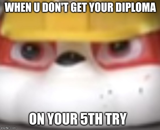 Diploma pug | WHEN U DON'T GET YOUR DIPLOMA; ON YOUR 5TH TRY | image tagged in funny meme,paw patrol | made w/ Imgflip meme maker