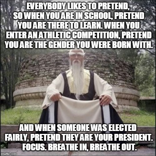 Kung Fu Master | EVERYBODY LIKES TO PRETEND, SO WHEN YOU ARE IN SCHOOL, PRETEND YOU ARE THERE TO LEARN. WHEN YOU ENTER AN ATHLETIC COMPETITION, PRETEND YOU ARE THE GENDER YOU WERE BORN WITH. AND WHEN SOMEONE WAS ELECTED FAIRLY, PRETEND THEY ARE YOUR PRESIDENT.   FOCUS. BREATHE IN, BREATHE OUT. | image tagged in kung fu master | made w/ Imgflip meme maker