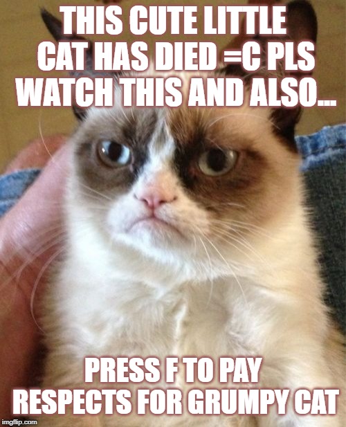 Grumpy Cat | THIS CUTE LITTLE CAT HAS DIED =C PLS WATCH THIS AND ALSO... PRESS F TO PAY RESPECTS FOR GRUMPY CAT | image tagged in memes,grumpy cat | made w/ Imgflip meme maker