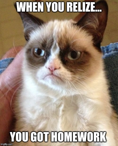 Grumpy Cat | WHEN YOU RELIZE... YOU GOT HOMEWORK | image tagged in memes,grumpy cat | made w/ Imgflip meme maker