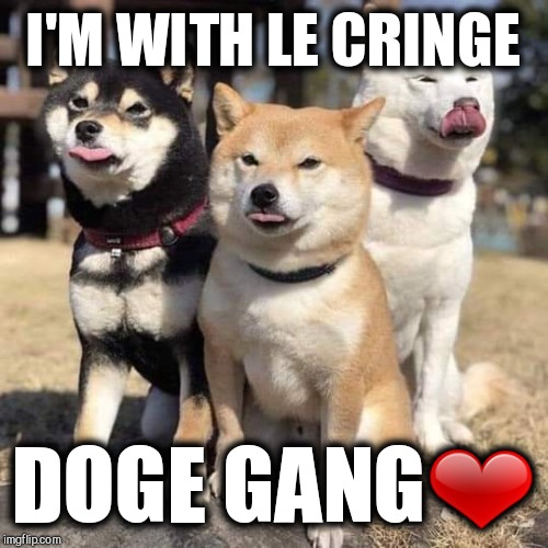 I'M WITH LE CRINGE; DOGE GANG❤ | image tagged in doge | made w/ Imgflip meme maker