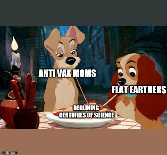 It's true | ANTI VAX MOMS; FLAT EARTHERS; DECLINING CENTURIES OF SCIENCE | image tagged in memes,flat earth,anti vax,science | made w/ Imgflip meme maker