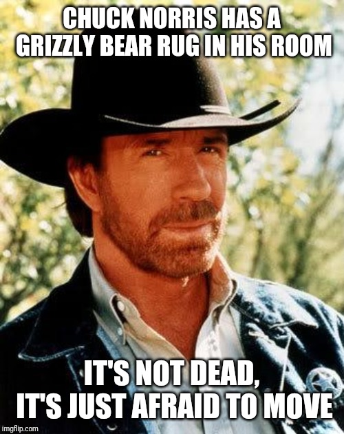 Chuck Norris Meme | CHUCK NORRIS HAS A GRIZZLY BEAR RUG IN HIS ROOM; IT'S NOT DEAD, IT'S JUST AFRAID TO MOVE | image tagged in memes,chuck norris | made w/ Imgflip meme maker
